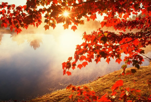 1720064528137972.png image.png