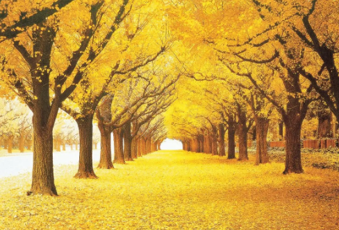 1720065033118053.png image.png