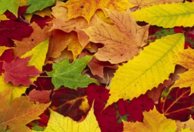 ​带月和泽字的网名