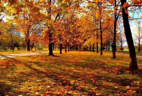 1720065538590180.png image.png