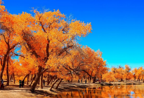 1720065875140283.png image.png