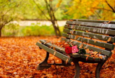 ​带忠和波字的网名