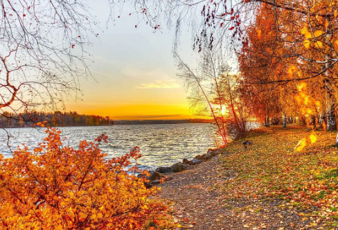 1720066885476663.png image.png