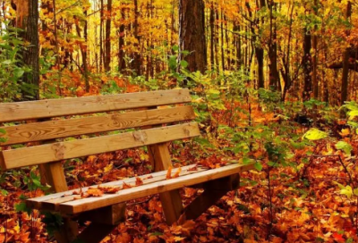 ​怎么取带森的网名女