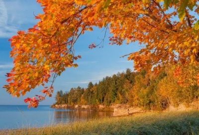 ​带蔼黄的网名昵称