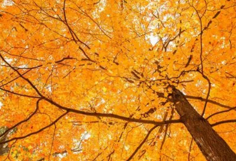 1720068400822939.png image.png