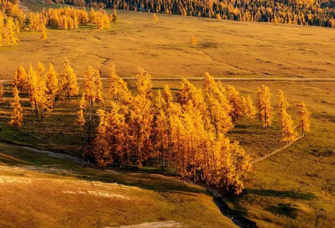 1720068568916533.png image.png