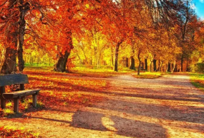 ​带陈跟数字的网名大全