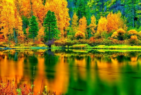 1720069073776207.png image.png