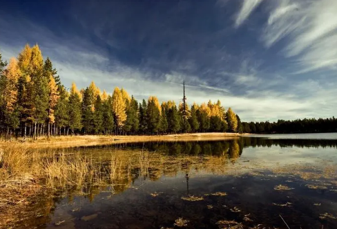 1720069242101856.png image.png