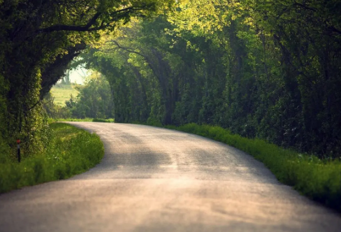 1720071430101894.png image.png