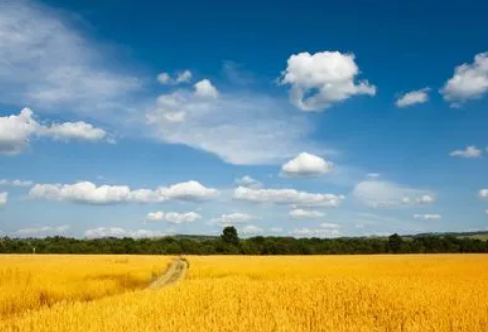 1720071767777971.png image.png