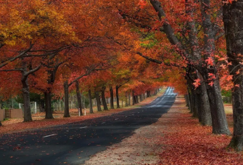 1720072609649349.png image.png