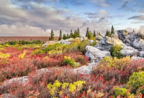 1720074798786663.png image.png