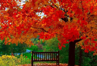 ​带王者英雄的网名女的