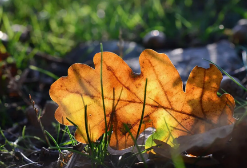 1720076819130528.png image.png