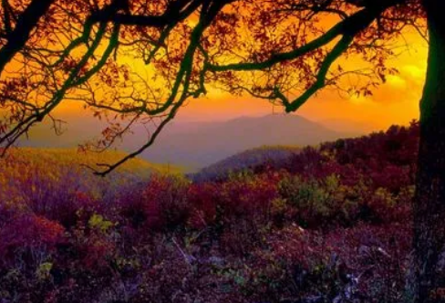 1720079851382509.png image.png