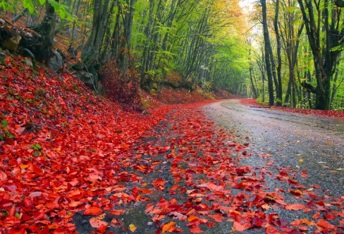 1720081198126797.png image.png