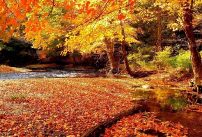 ​带自字文雅的的网名昵称