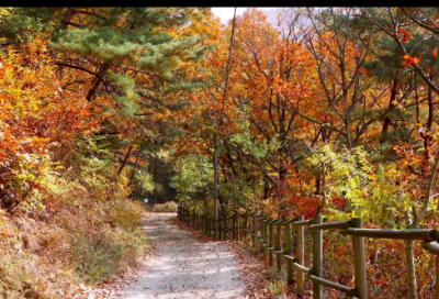 ​李苏带谐音的网名女生