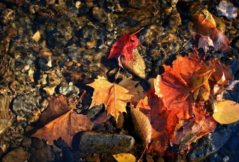 1720083725469907.png image.png