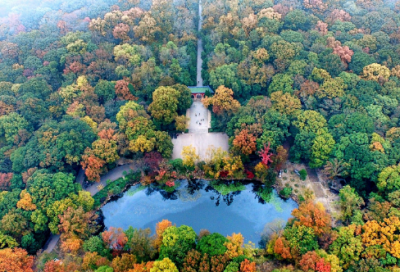 ​已婚带娃的网名大全男的