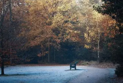 1720085241858096.png image.png