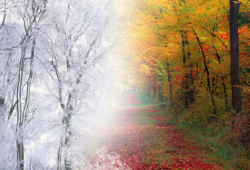 1720087094671295.png image.png