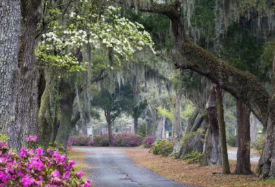 ​带月亮的网名霸气