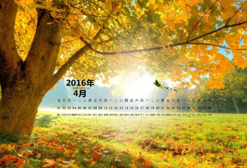 1720090463127266.png image.png