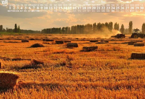 1720091811684549.png image.png