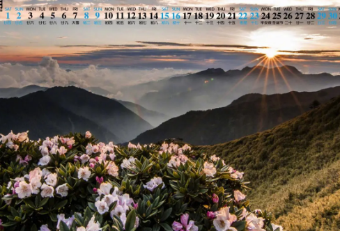 1720092147121930.png image.png