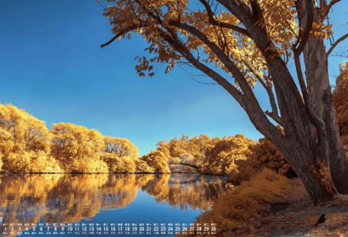 1720092315198935.png image.png