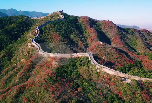 1720092484663851.png image.png