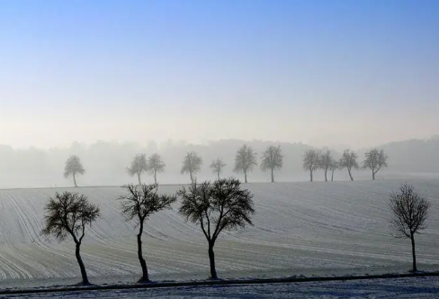 1720097706988913.png image.png