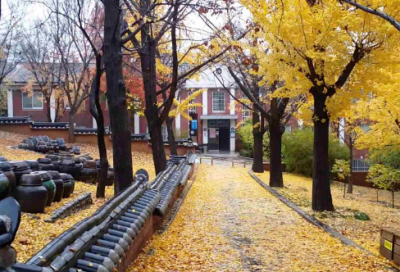 ​带七的英语网名大全