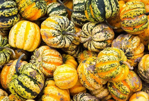 1720101412713165.png image.png