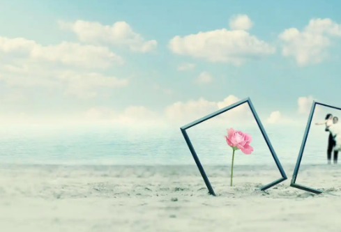 1732592309226691.png image.png