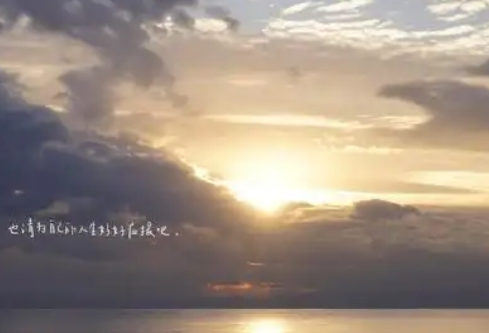 1732596106105298.png image.png