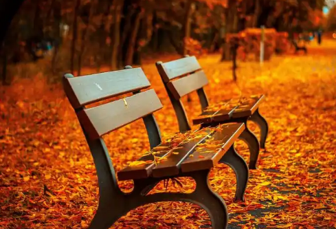 1732596271157453.png image.png