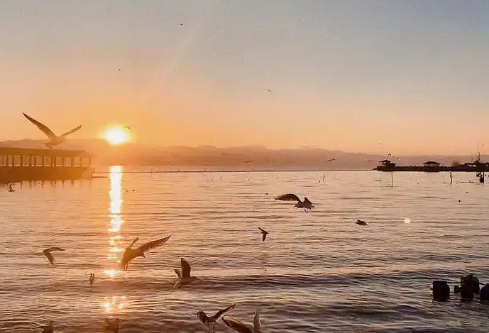 1732596767130717.png image.png