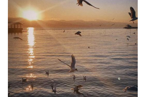 1732597097821046.png image.png