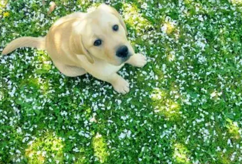 1732597922586695.png image.png