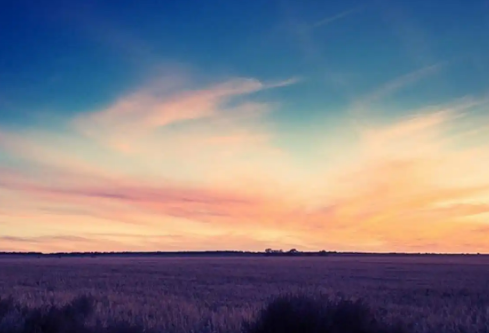 1732598417347911.png image.png