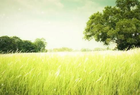 1732600067232156.png image.png