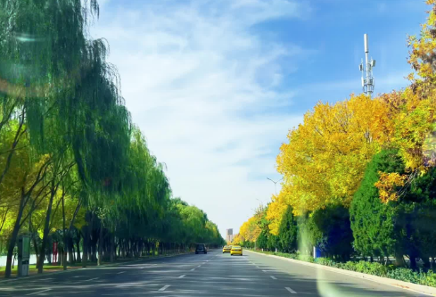 1732602048854482.png image.png