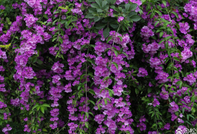 ​感恩的话语 暖心 简短【精选67句】