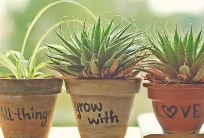 ​喀喇怎么读【精选90句】