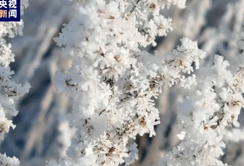 1732616736105062.png image.png