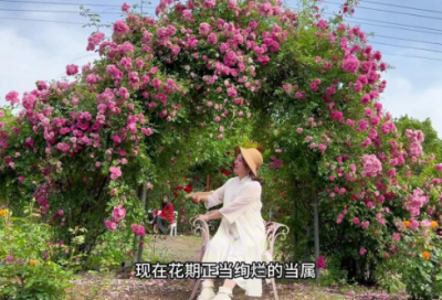 ​关于运动会的优美句子-58句